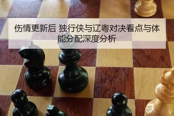 伤情更新后 独行侠与辽粤对决看点与体能分配深度分析